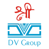 DV Group logo